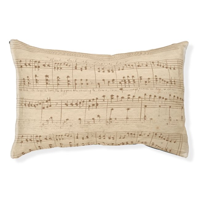 vintage beige music notes pet bed (Front)