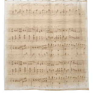 Vintage beige music notes shower curtain
