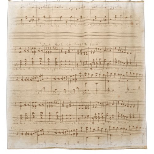 Vintage beige music notes shower curtain