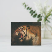 Vintage Bengal Tiger Big Cat Roaring, Wild Animal (Standing Front)