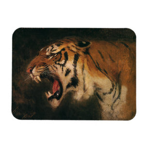 Vintage Bengal Tiger Big Cat Roaring, Wild Animal Magnet