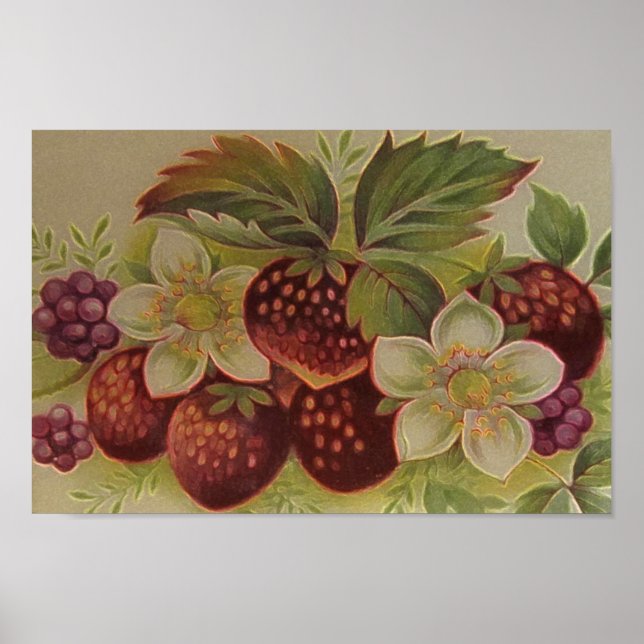 Vintage Berries Poster (Front)