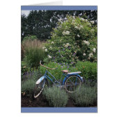 Vintage Bicycle in Garden (Front)