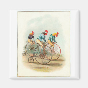 Vintage Bicycle Poster, Pennyfarthing Roosters Magnet