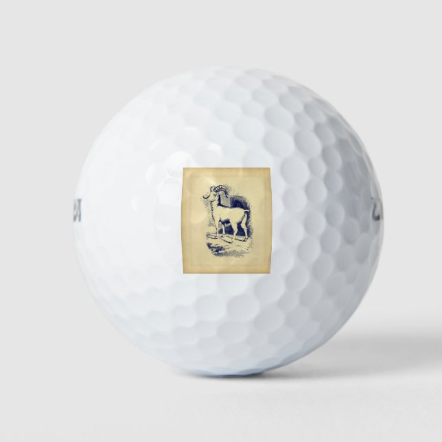 VINTAGE BIG HORN SHEEP GOLF BALLS (Front)