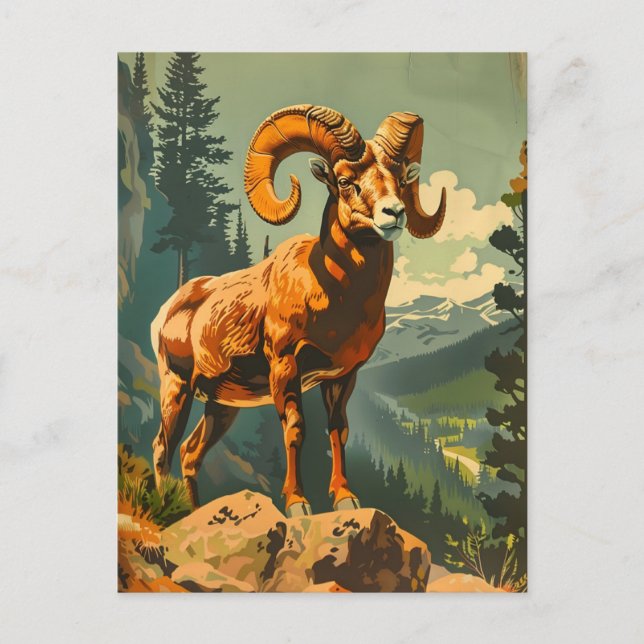 Vintage Bighorn Sheep Illustration Postcard (Front)