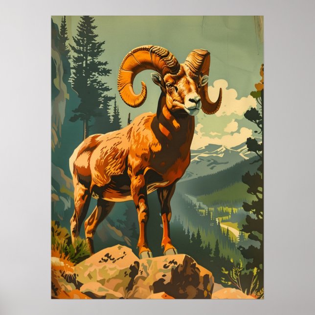 Vintage Bighorn Sheep Illustration Poster (Front)