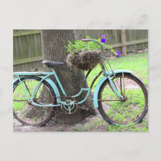 Vintage Bike Flower Basket Bicycle in the Garden Postcard