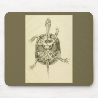 Vintage Biological Turtle Anatomy Mouse Pad