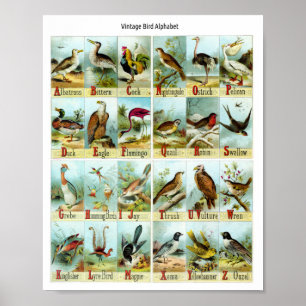 Vintage Bird Alphabet Poster