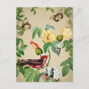 Vintage Bird and Butterflies Postcard