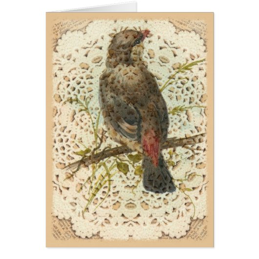 Vintage Bird and Doilie Cards (Front)