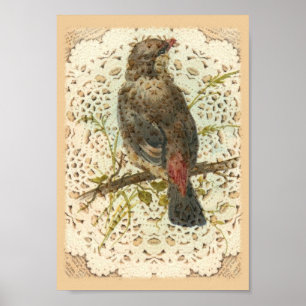 Vintage Bird and Doilie Poster