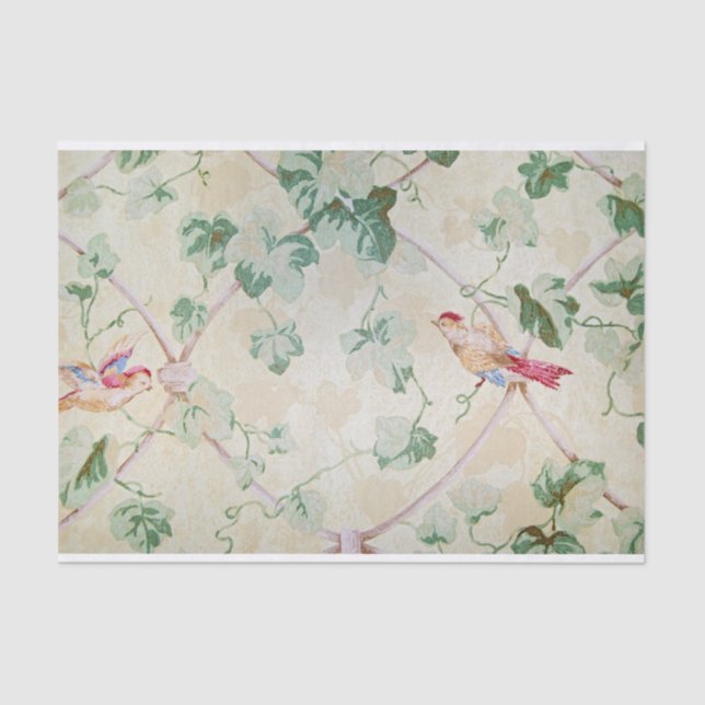 Vintage Bird and Ivy Wallpaper Tissue Paper (Front)