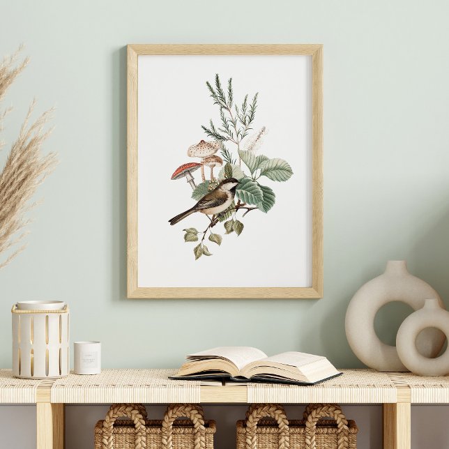 Vintage Bird and Mushroom Botanical Poster (Creator Uploaded)