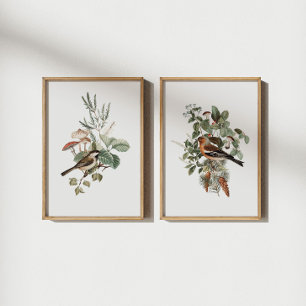 Vintage Bird and Mushroom Botanical Wall Art Sets