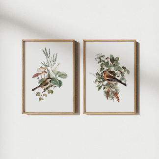Vintage Bird and Mushroom Botanical Wall Art Sets