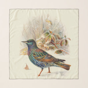 Vintage Bird Beautiful Colorful Starling Drawing Scarf