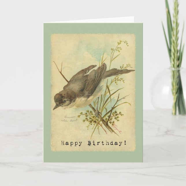 Vintage Bird, Birthday Card (Front)