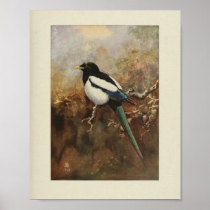 Vintage Bird Black White Green Print