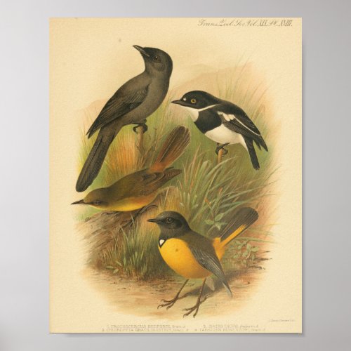 Vintage Bird Black White Yellow Print