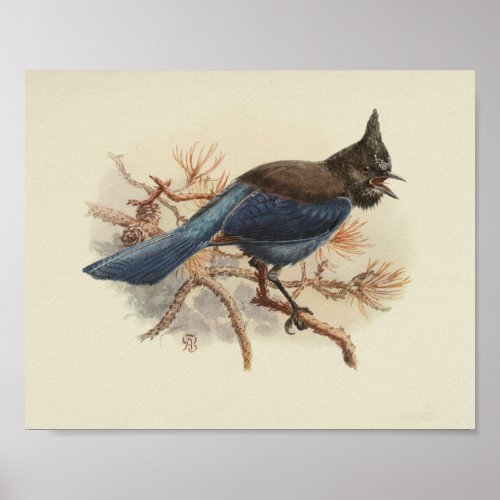 Vintage Bird Blue Black Print