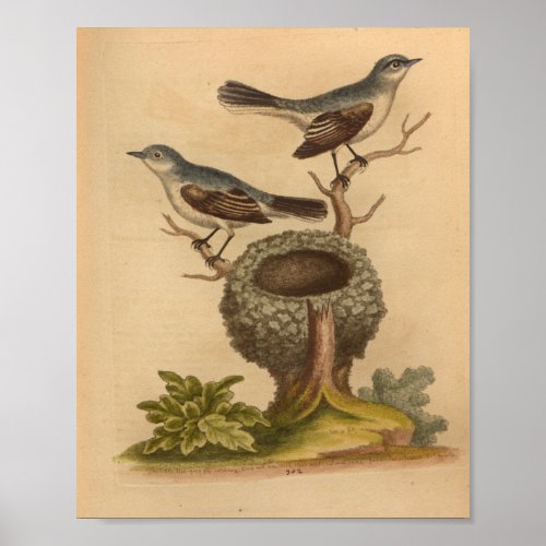 Vintage Bird Blue Brown Nest Print