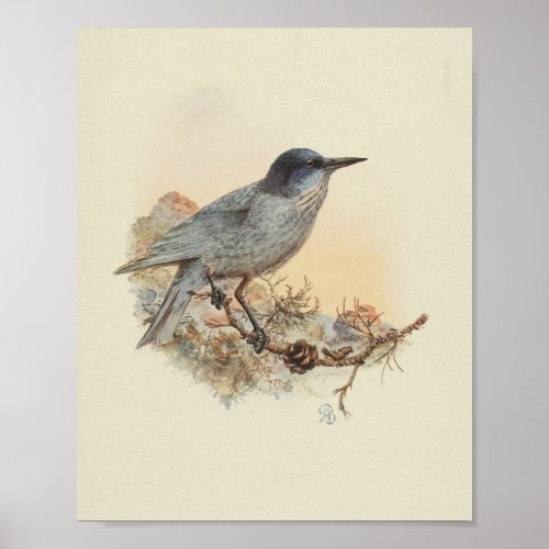 Vintage Bird Blue Speckled Print