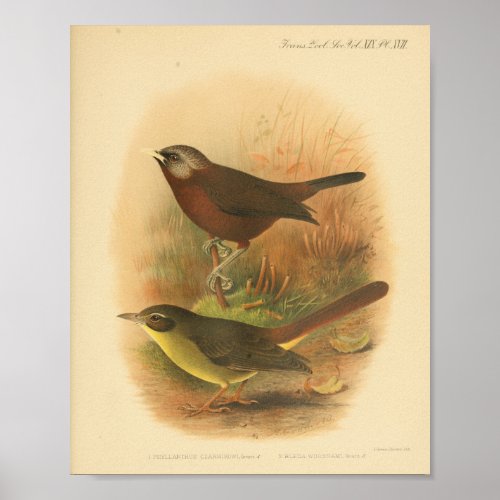 Vintage Bird Brown Yellow Print