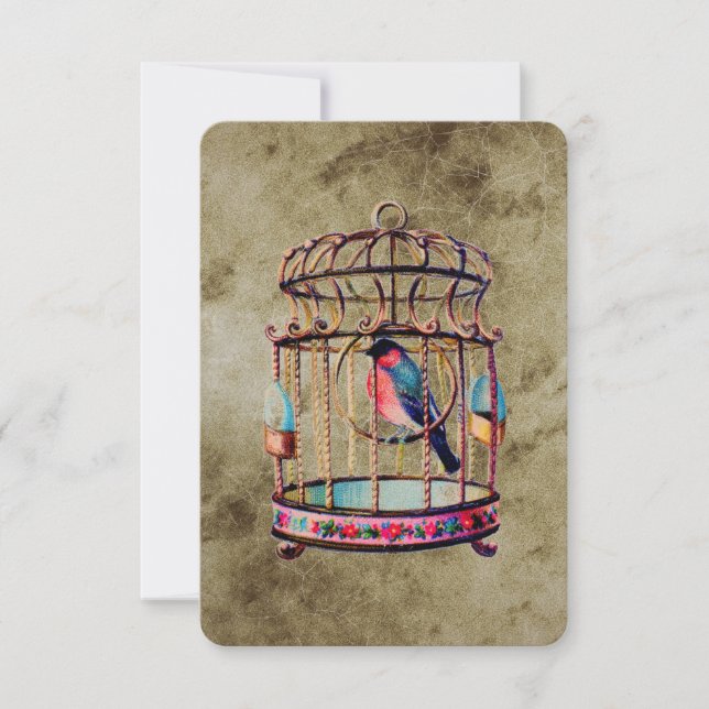 Vintage Bird Cage Invitation (Front)