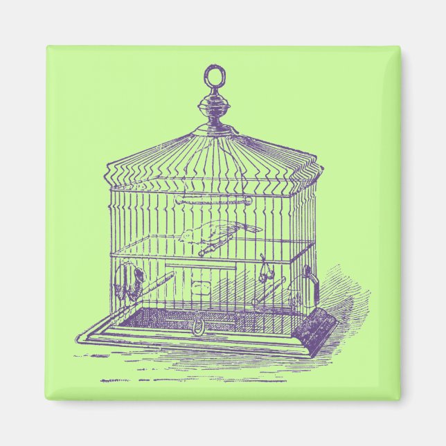 Vintage Bird Cage Magnet (Front)
