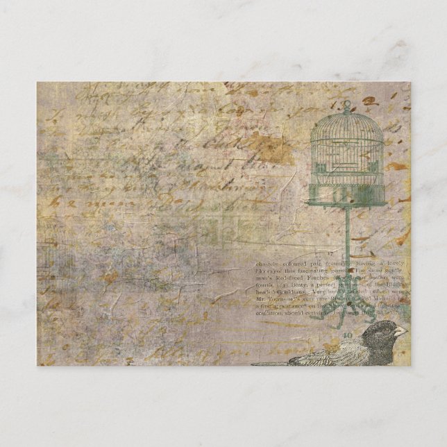 Vintage Bird Cage With Script Postcard (Front)