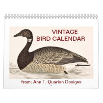 Vintage Bird Calendar - 2013