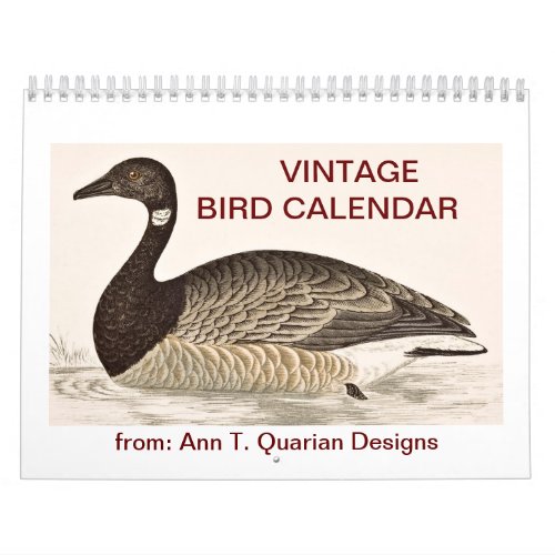 Vintage Bird Calendar _ 2013
