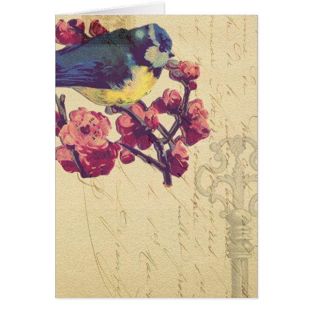 Vintage Bird Cards (Front)