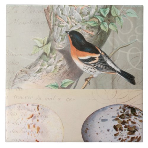 Vintage Bird Collage Egg Botanical Script Ephemera Ceramic Tile