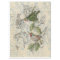Vintage Bird Collage Tissue Paper