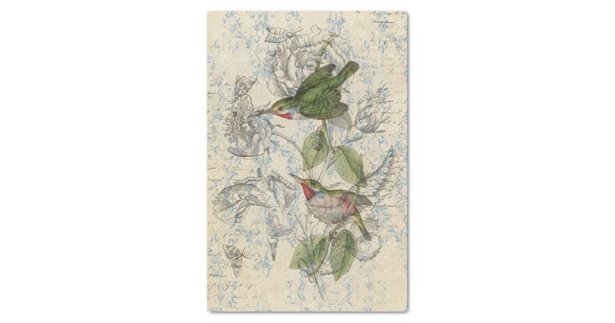 Vintage Bird Collage Tissue Paper | Zazzle