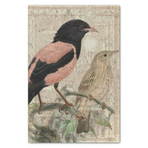 Vintage Bird Collage Tissue Paper