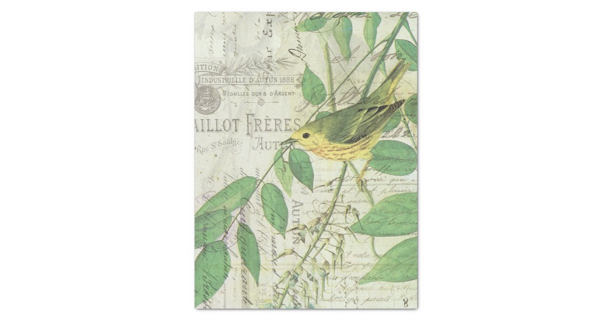Vintage Bird Collage Tissue Tissue Paper | Zazzle