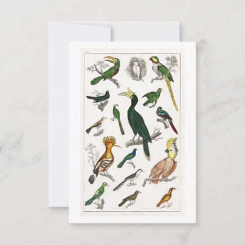 Vintage Bird Collection RSVP Card