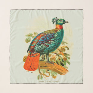 Vintage Bird Colorful Exotic Pheasant Illustration Scarf