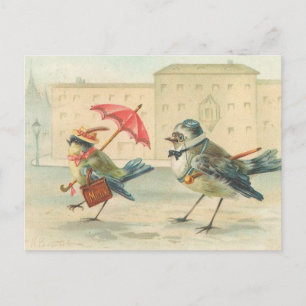 Vintage Bird Couple Postcard So Cute