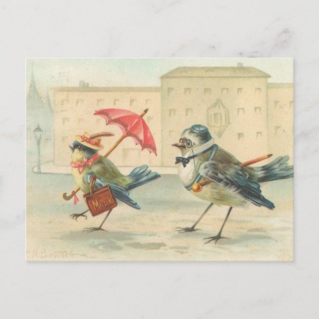 Vintage Bird Couple Postcard So Cute (Front)
