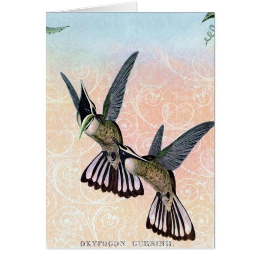 Vintage Bird Digital Art Cards (Front)