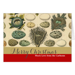 Vintage Bird Egg Nest Art Painting Eggs