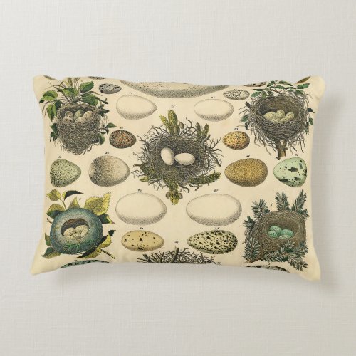 Vintage Bird Egg Nest Art Painting Eggs Accent Pillow