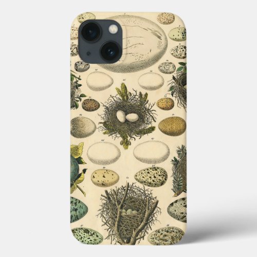 Vintage Bird Egg Nest Art Painting Eggs iPhone 13 Case