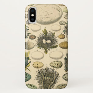 Vintage Bird Egg Nest Art Painting Eggs iPhone X Case