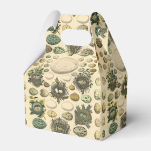 Vintage Bird Egg Nest Art Painting Eggs Favor Boxes